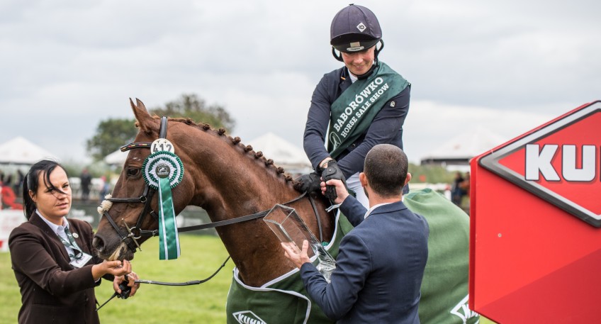 Baborówko Horse Sale Show 2019