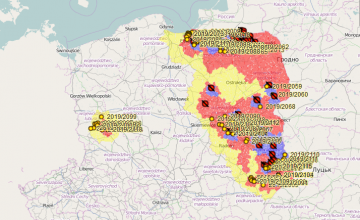 Aktualna mapa ognisk i przypadków afrykańskiego pomoru świń w Polsce