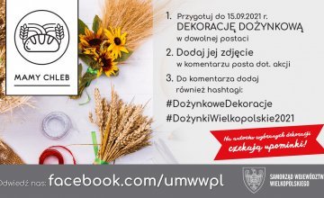 #DożynkiWielkopolskie2021 - konkurs na dekorację dożynkową