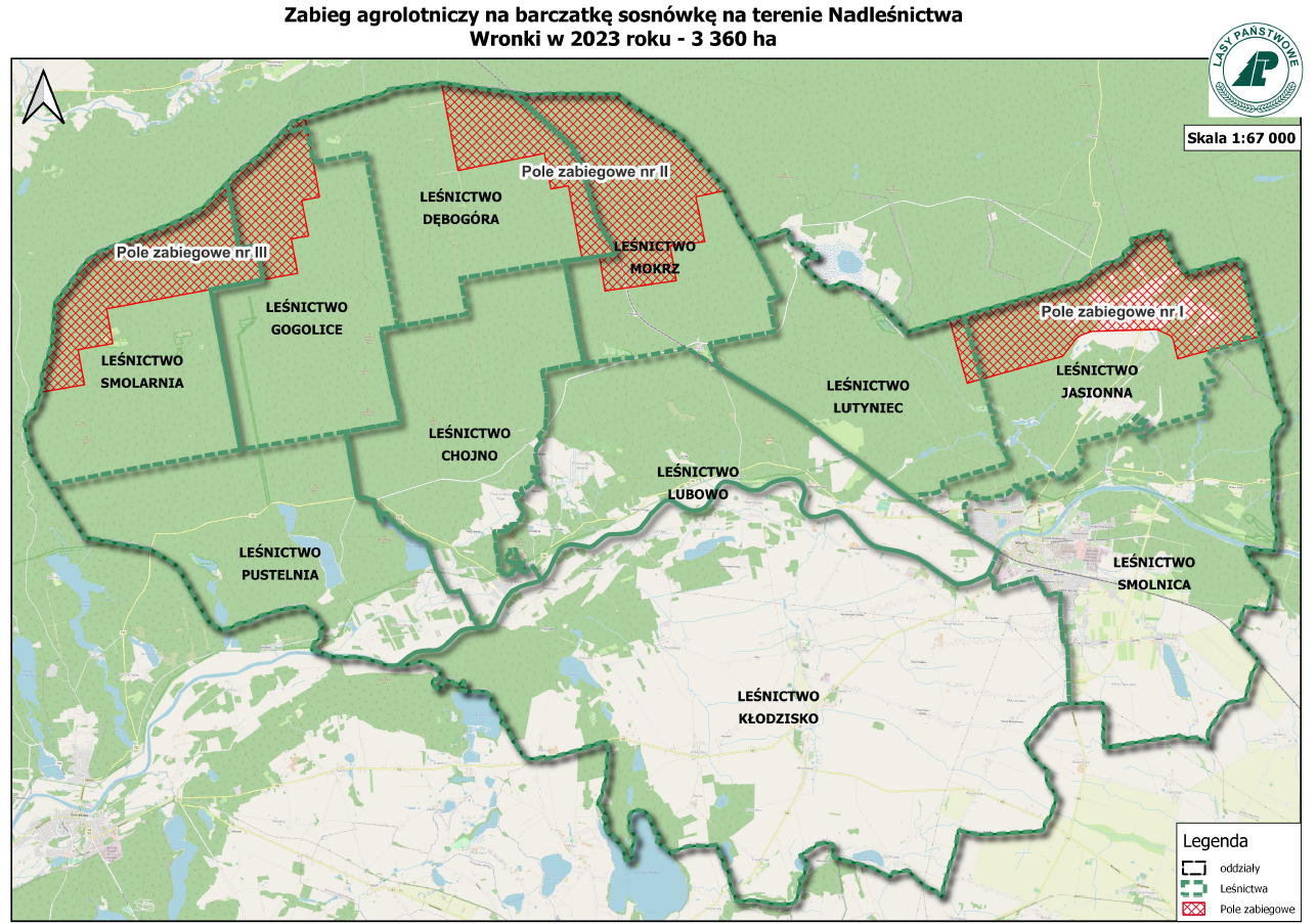 mapa obszaru objetego zakazem wstępu do lasu