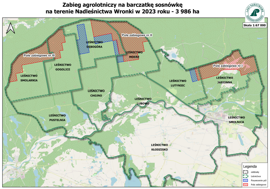 mapa obrazująca obszar o czasowym zakasie wstępu do lasu