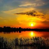 Natura w Powiecie Szamotulskim (2)