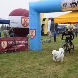 Wyścigi Psich Zaprzęgów (2)