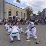 Pokaz karate