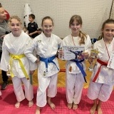 Wielkopolski Turniej Młodych Talentów Karate CUP