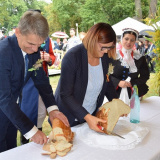 DOŻYNKI GMINNO-POWIATOWE W SZAMOTUŁACH 2019