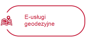 E-usługi